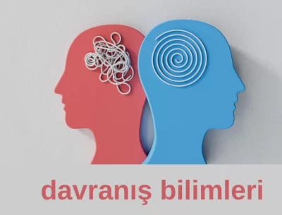 Davranış Bilimleri Lisans